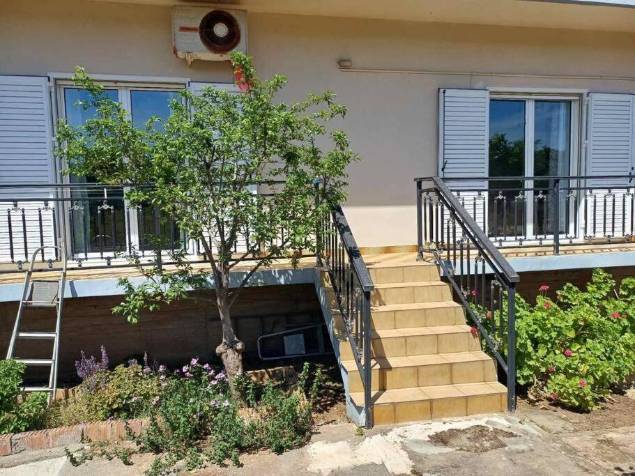 Sofia's Yard House * Лутра-Киллинис