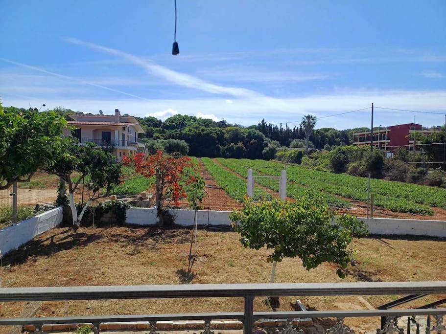 Sofia's Yard House Λουτρά Κυλλήνης
